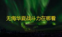 无悔华夏战斗力在哪看